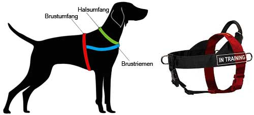 Hundegeschirr mit Logos, Labrador