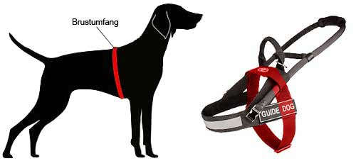 golden retriever harness for guide dogs