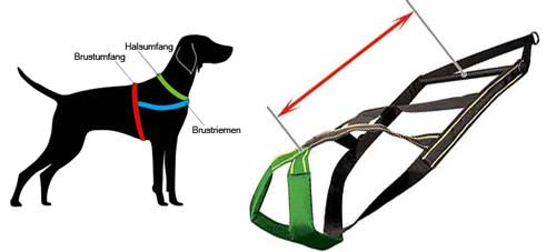 pulling harness for labrador