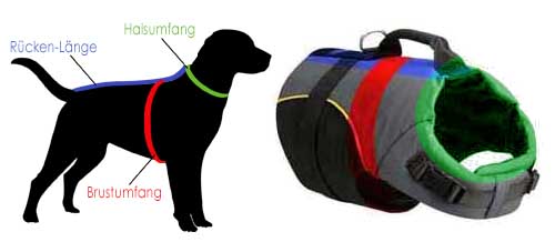 dog harness as vest for labrador