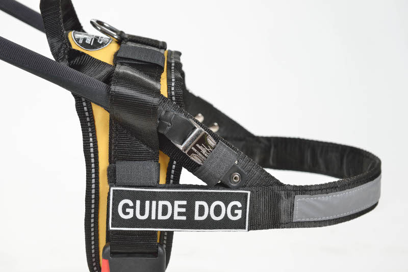 Blindenfuehrhundgeschirr fuer Labrador k9