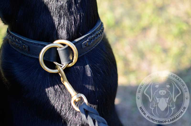 Hundehalsbandfuer die Erziehung