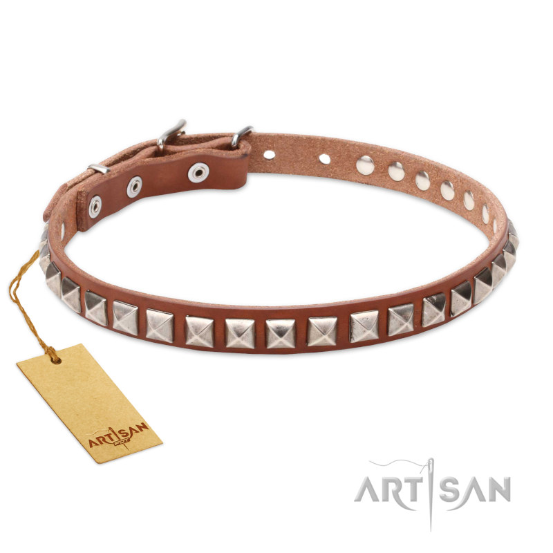 Hundehalsband in Tan Farbe fuer Labrador