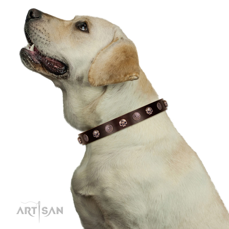 Hundehalsband Piraten Stil