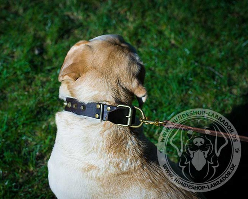 Hundehalsbandmit messing Schmuck