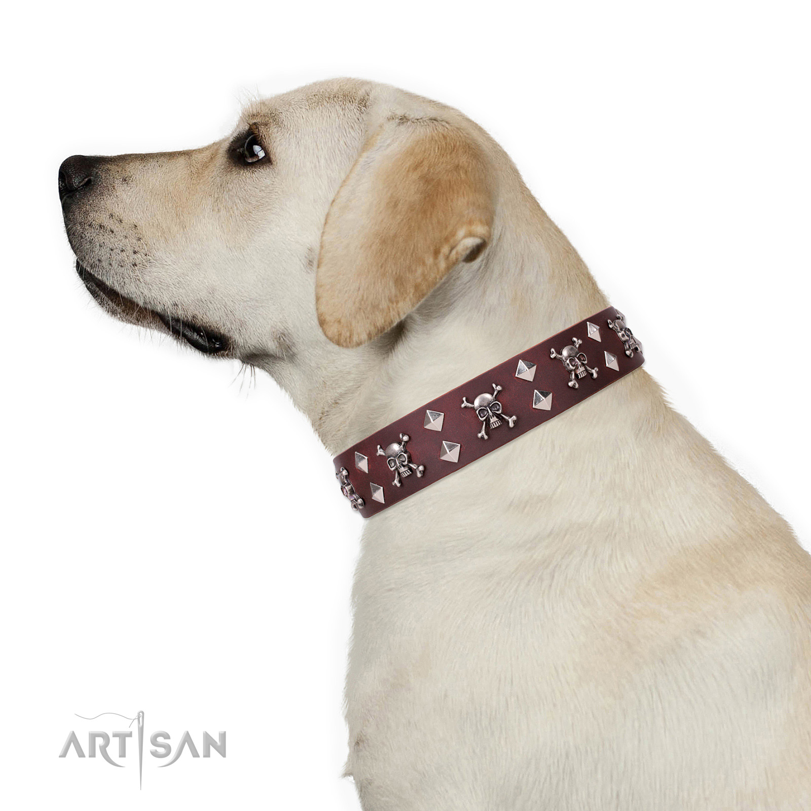 Hundehalsband fuer Labrador  braun