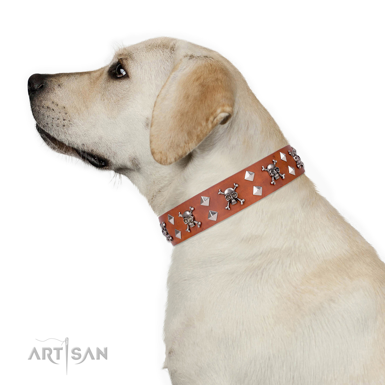 Hundehalsband Tan fuer Labrador