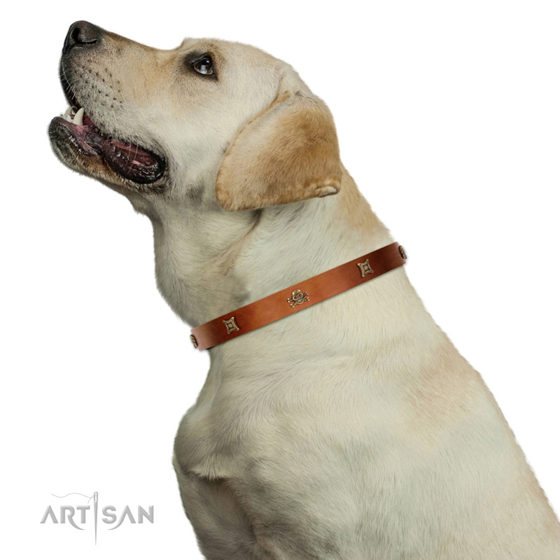 Hundehalsband mit Altbronze Schmuck