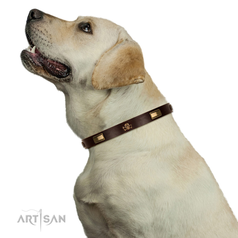 Hundehalsband mit Altbronze Schmuck