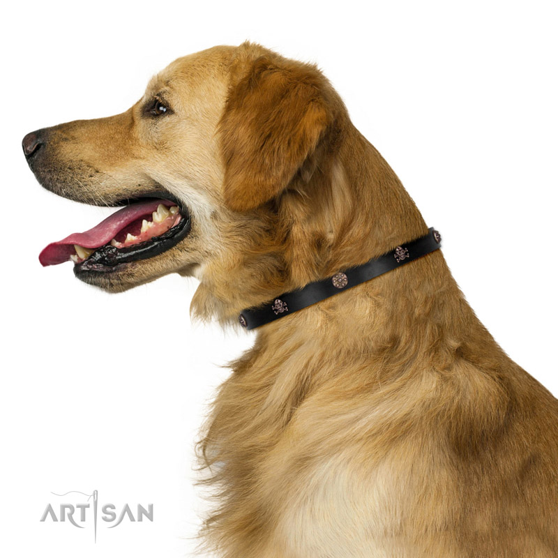 Hundehalsband mit Altbronze Dekorationen