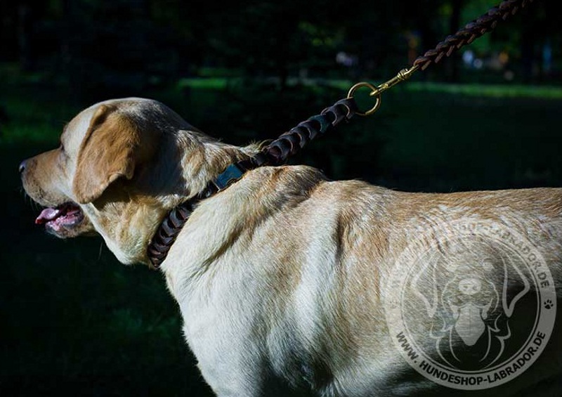 Hundehalsband  Flechten Design