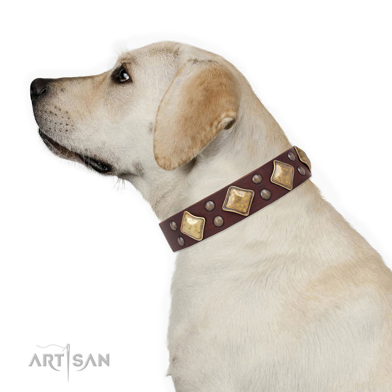 Hundehalsband Golden Squares fuer Labrador