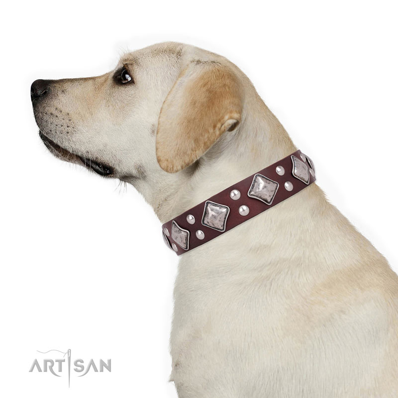 Hundehalsband aus erstklassigem Leder mit Schmuck