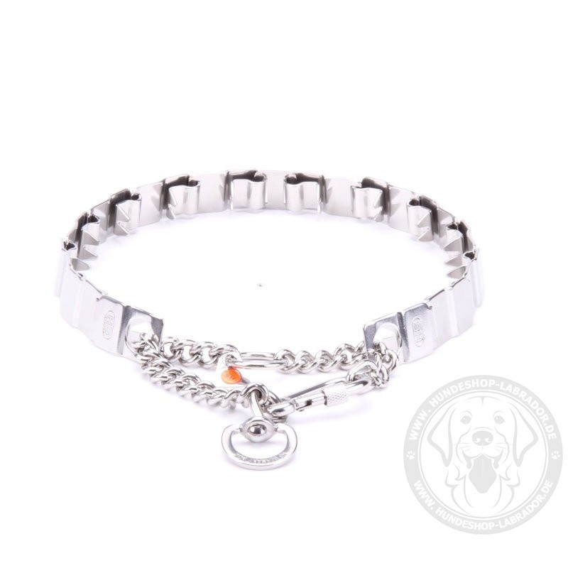 Hundehalsband von Herm Sprenger fuer Labrador