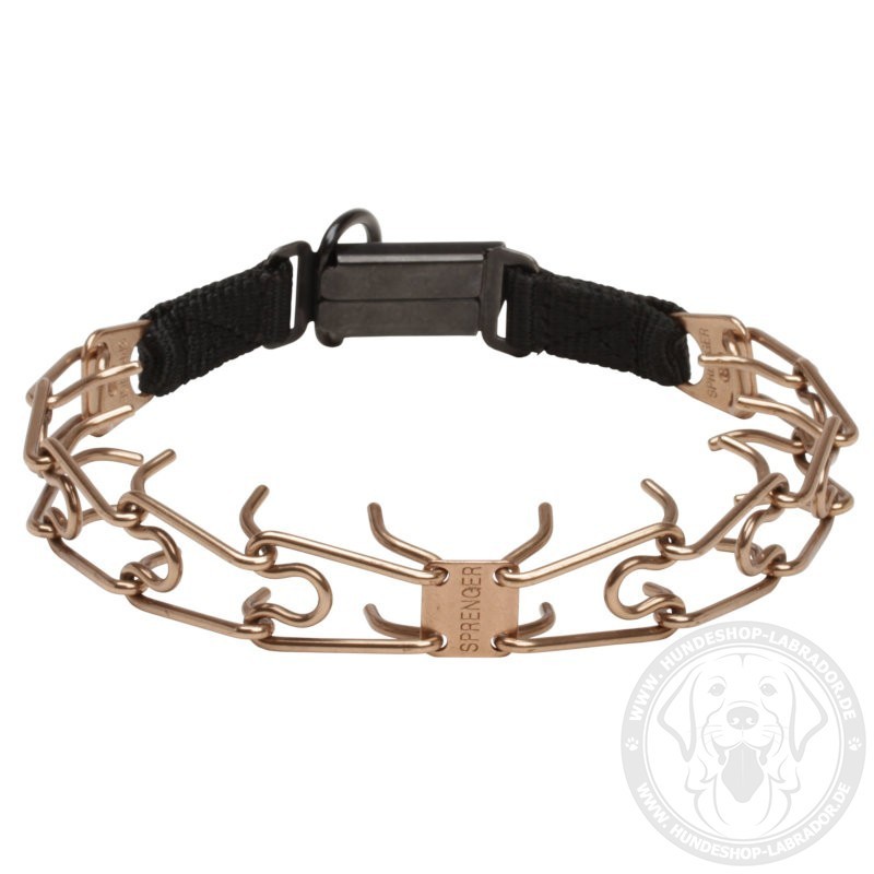 Hundehalsband mit Stacheln