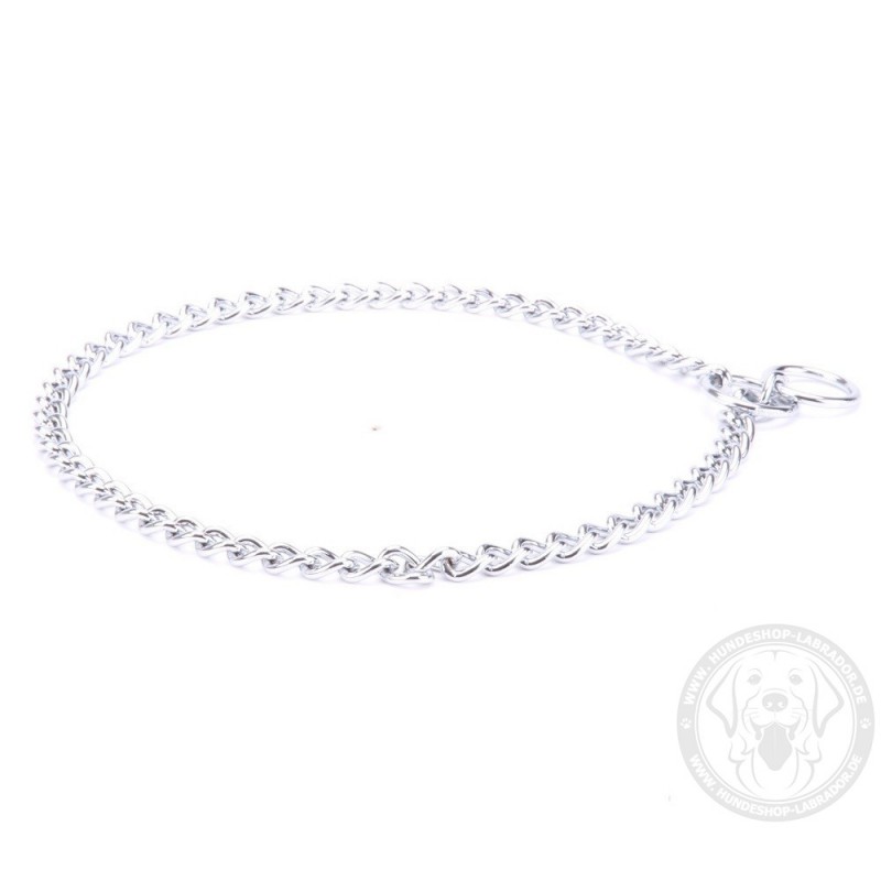 Hundehalsband Kette fuer Labrador