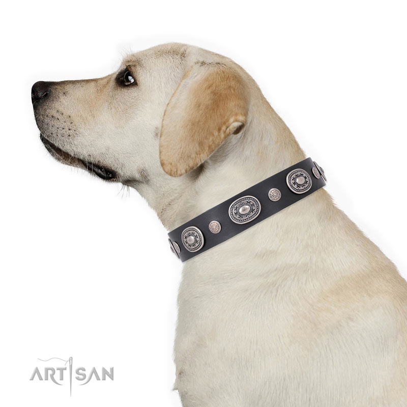 Hundehalsband Black Tie fuer Labrador