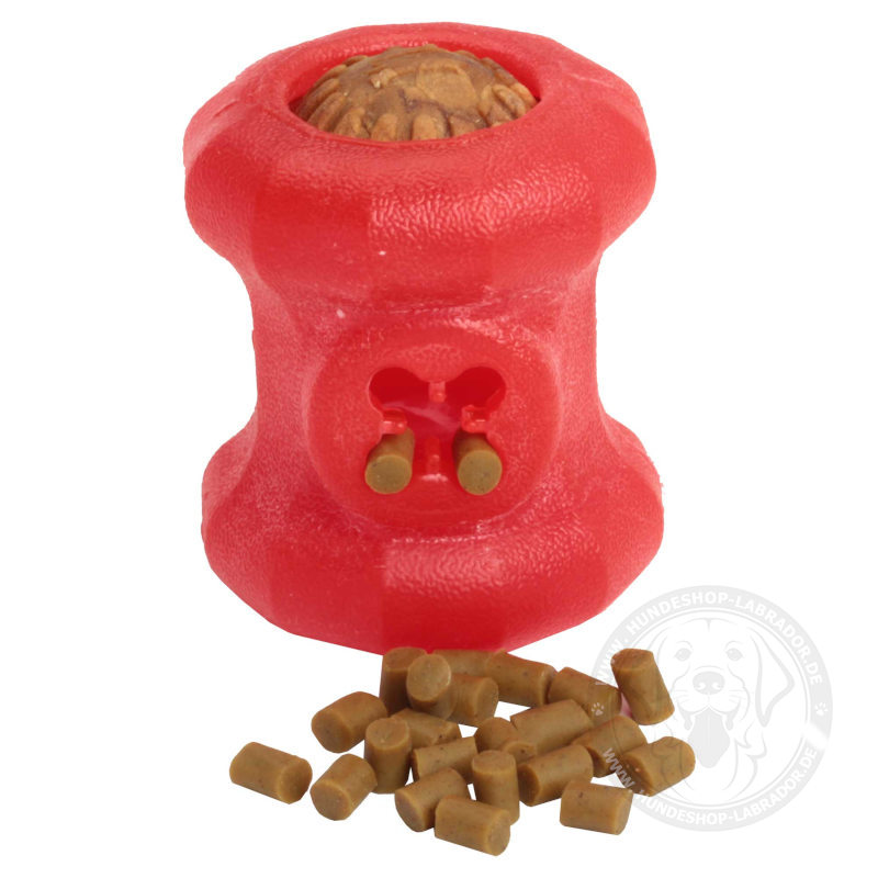 Hundespielzeug in Rot mit Leckerlis