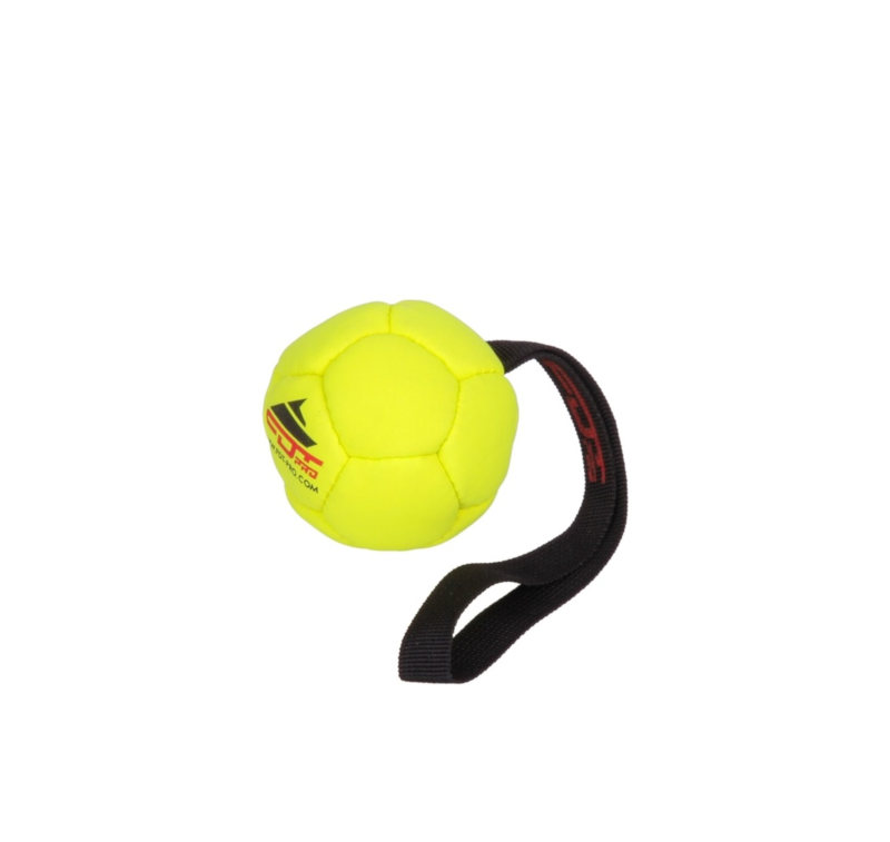 Hundespielzeug Ball aus synthetischem Leder fuer Labrador