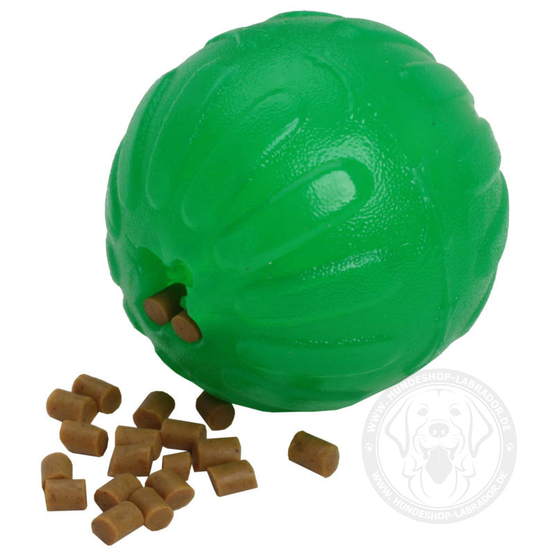 Hundespielzeug Ball von Starmark fuer Labrador