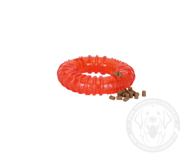 Hundespielzeug Looper von Starmark