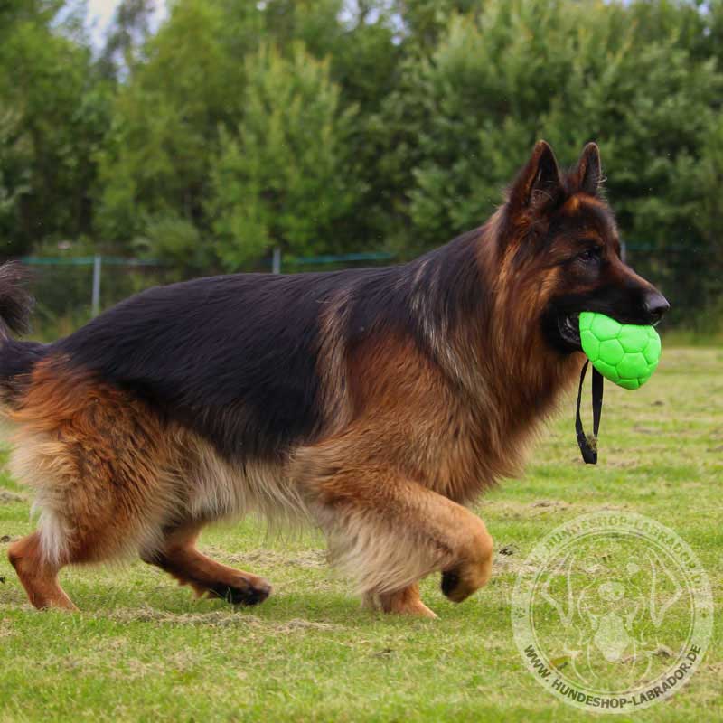 Hundespielzeug aus synthetischem Leder  gruen