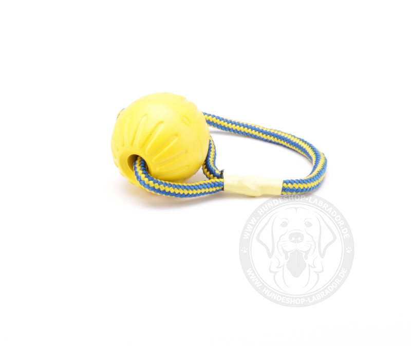 Hundespielzeug Ball aus Schaumgummi  fuer Labrador