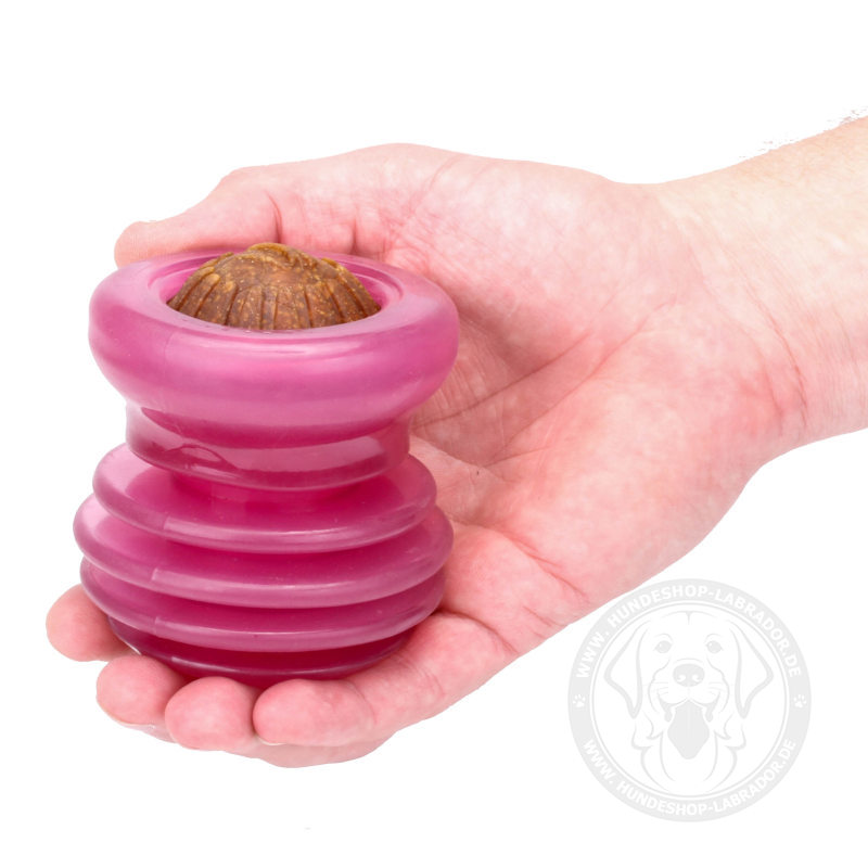 Hundespielzeug Groovy Ball