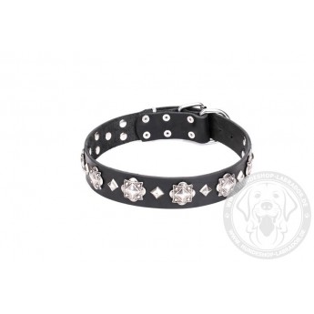 Exklusives schwarzes Lederhalsband FDT Artisan "Code of Chivalry" für Labrador