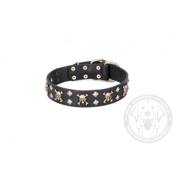 FDT Artisan "Jolly Roger" Hundehalsband aus Naturleder