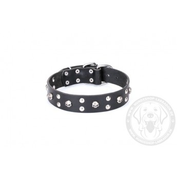 FDT Artisan "Mystic Skulls" Hundehalsband elegant für Labrador