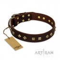 Brown Artisan Leather Dog Collar "Fashion Studs" for Labrador