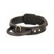 Durable 2 Ply Leather Dog Collar with Handle