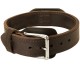 Durable 2 Ply Leather Dog Collar with Handle