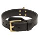  2 Ply Leather Dog Collar k9 for Labrador