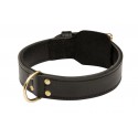  2 Ply Leather Dog Collar k9 for Labrador
