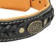 Braided Leather Dog Collar with Nappa Padding for Labrador