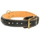 Braided Leather Dog Collar with Nappa Padding for Labrador