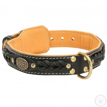 Braided Leather Dog Collar with Nappa Padding for Labrador