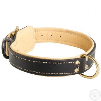 Royal Leather Dog Collar with extra-soft Padding for Labrador