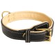 Royal Leather Dog Collar with extra-soft Padding for Labrador
