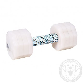  'The Tool of Power'  Dog Training Dumbbell with White Plates