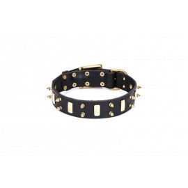 "Medieval Style" Leather Dog Collar with Brass Plates and Spikes