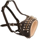 Open Mouth Leather Labrador Muzzle Spiked and Studded