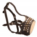 Rich Decorated Nappa Padded Leather Labrador Muzzle