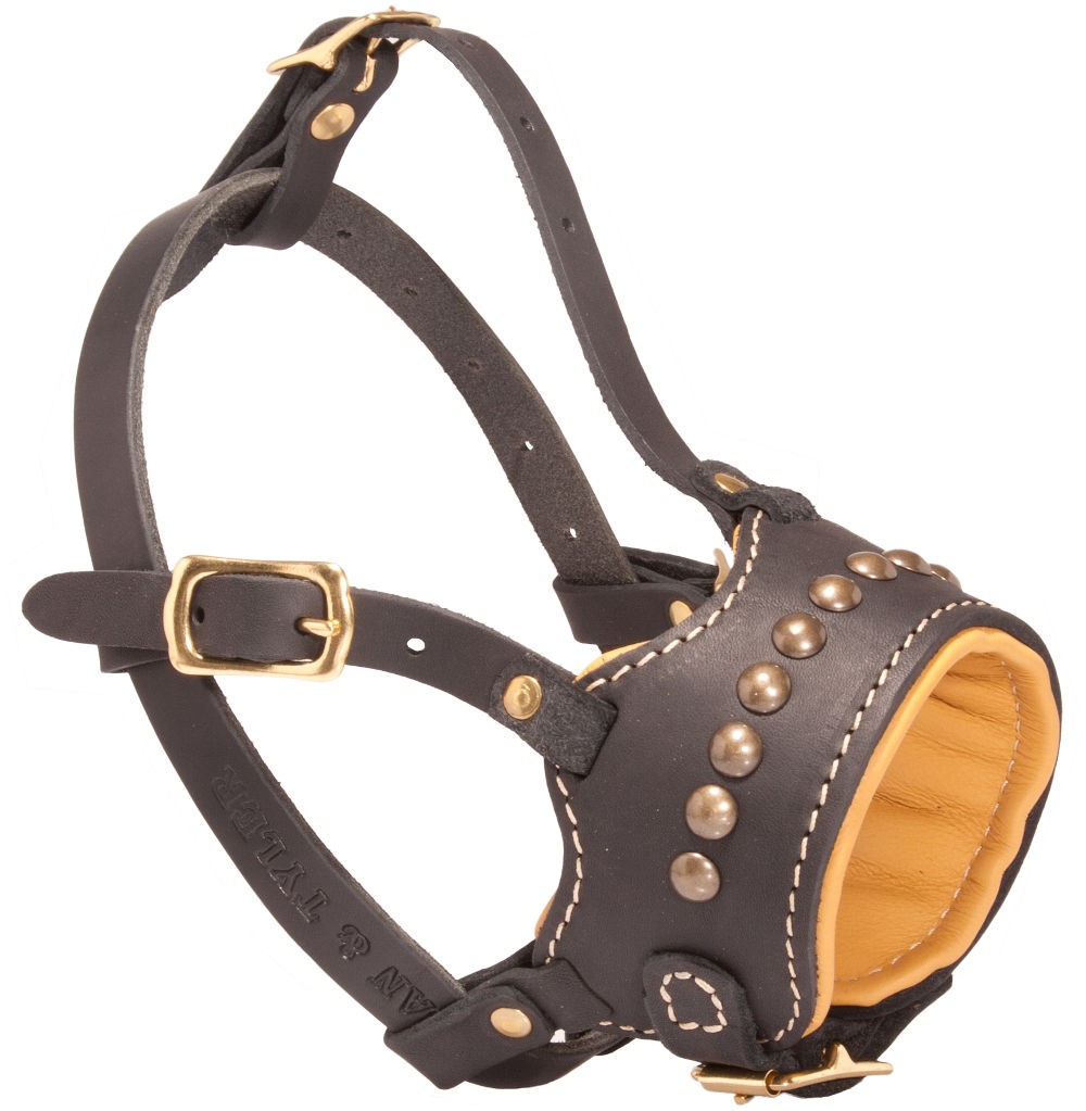 Leder Maulkorb mit Nieten fr Labrador bestellen, weich und bequem