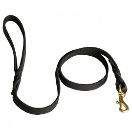 Leather Dog Leash for Walking and Training. Braided Design.