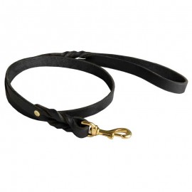 Leather Dog Leash for Walking and Training. Braided Design.