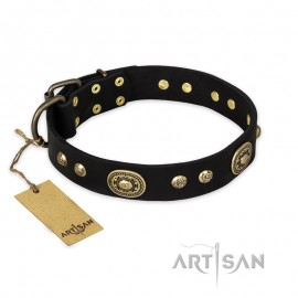 Exclusive FDT Artisan Leather Dog Collar "Strict Elegance"