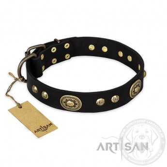 Modisches Labrador FDT Artisan Lederhalsband "High Fashion"